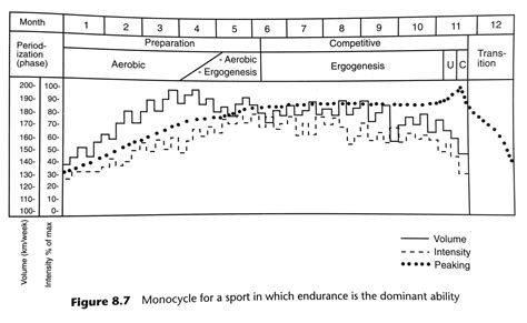 periodization tudor bompa|parabolic periodization pdf.